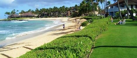 ビーチの近く、サンラウンジャー、ビーチタオル