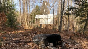 Miscellaneous - Unique Off-grid stay in the heart of the White Mountain National Forest (Chatham)