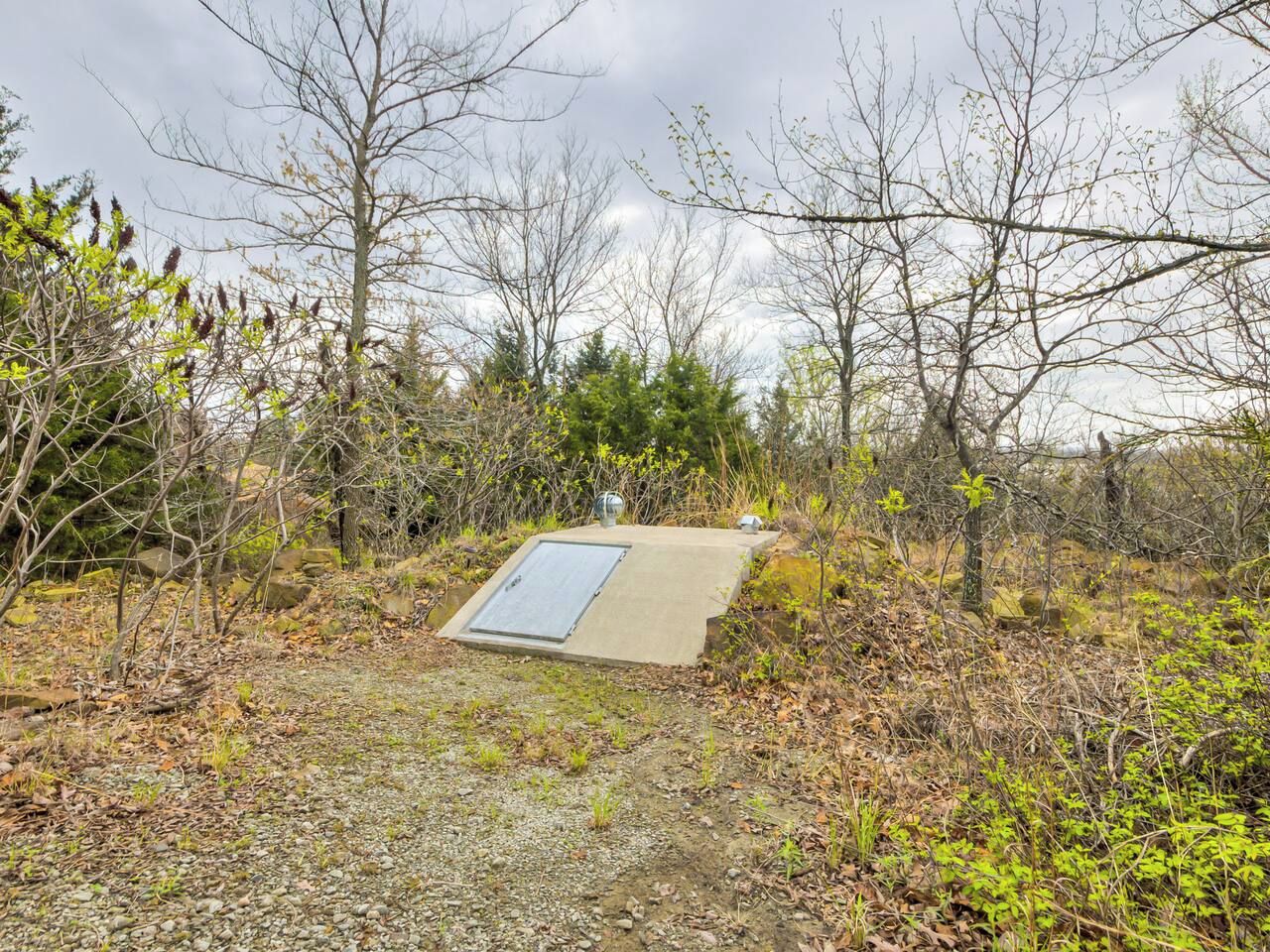 Een betonnen constructie met een deur, omgeven door bomen en struiken.
