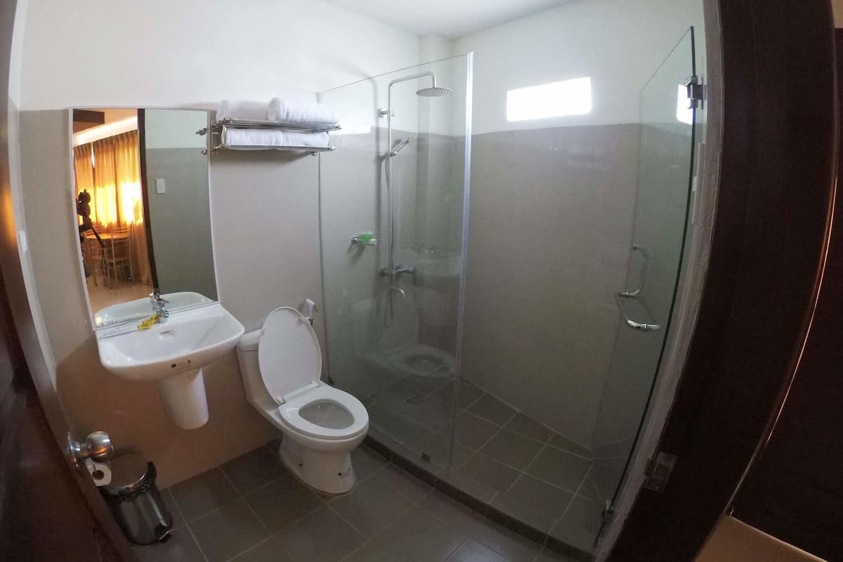 shower, free toiletries, hair dryer, slippers