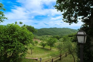 Un paysage rural avec un sentier, des arbres et une chaîne de montagnes à l’horizon.