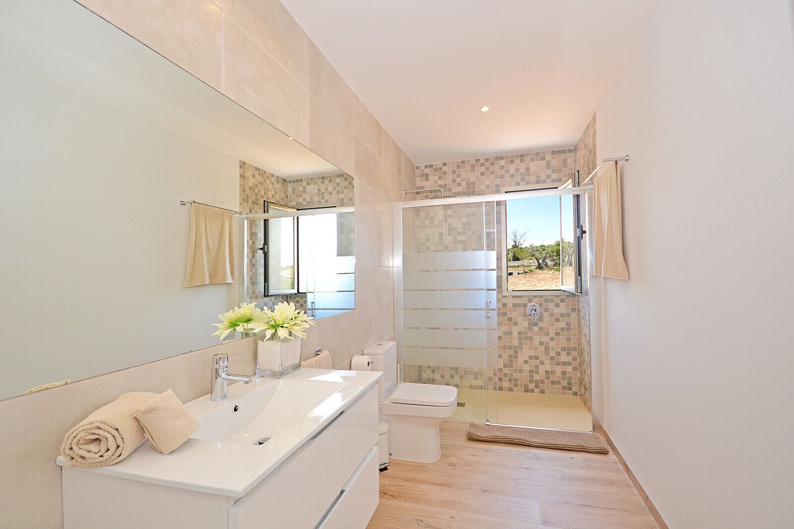 Shower, towels