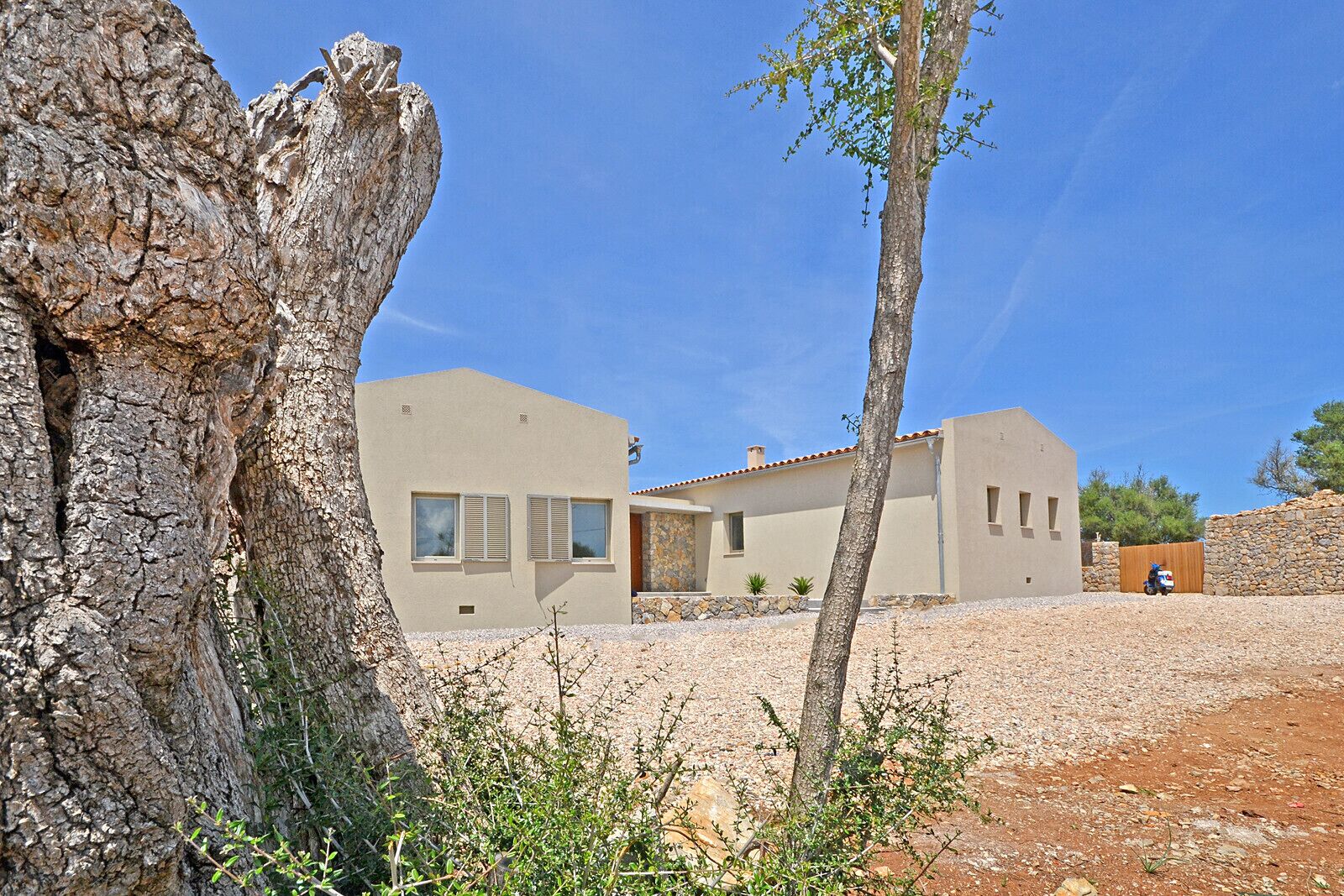 A modern building with a stone wall, a tree, and a clear sky.