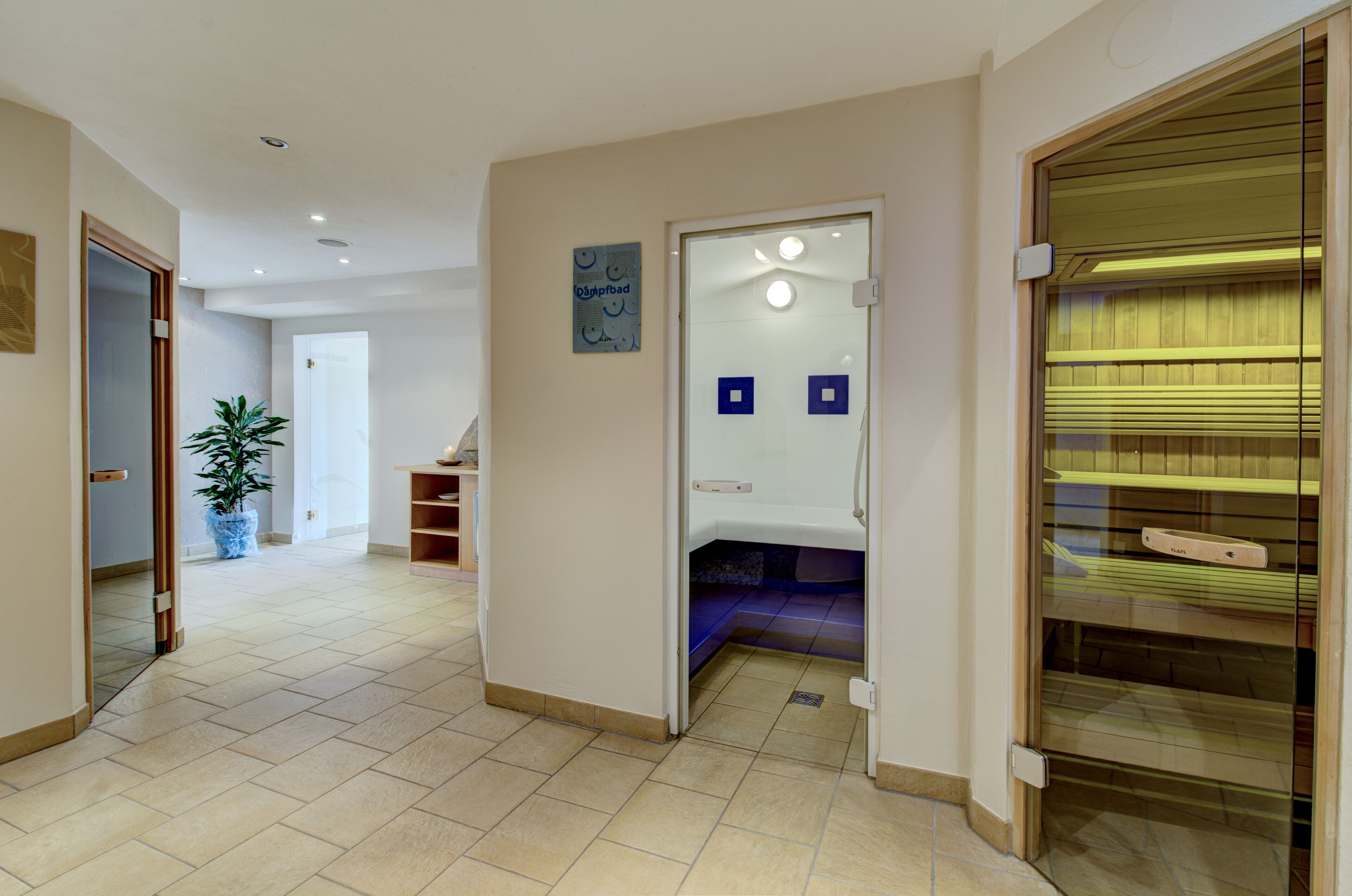 Sauna, steam room