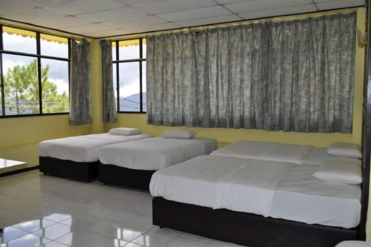 Desk, iron/ironing board, free WiFi, bed sheets