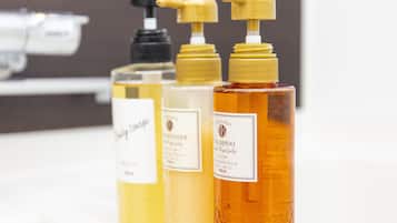 Standard Double Room | Room amenity