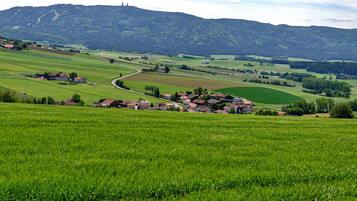Un paysage rural caractérisé par de vastes champs verdoyants, une route sinueuse et un groupe de maisons aux toits rouges.