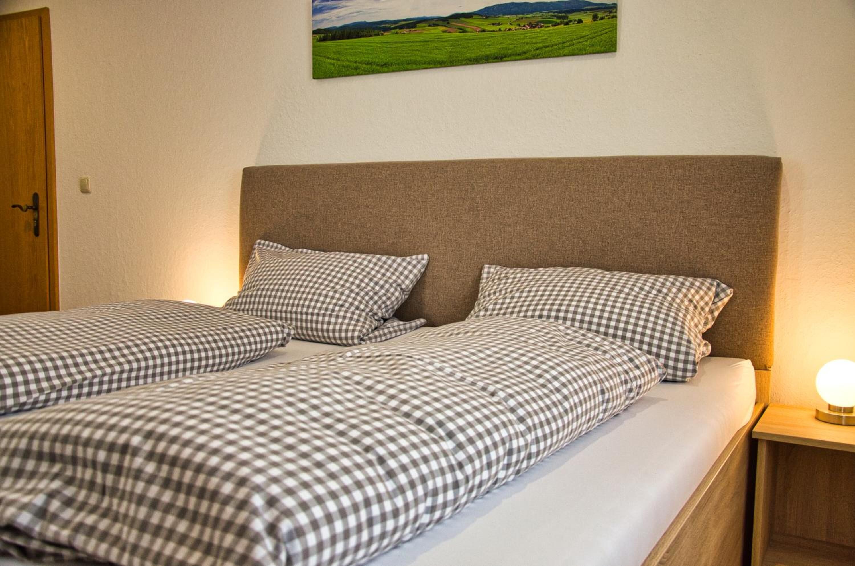 A double bed with checkered bedding, a wooden headboard, and a bedside lamp.
