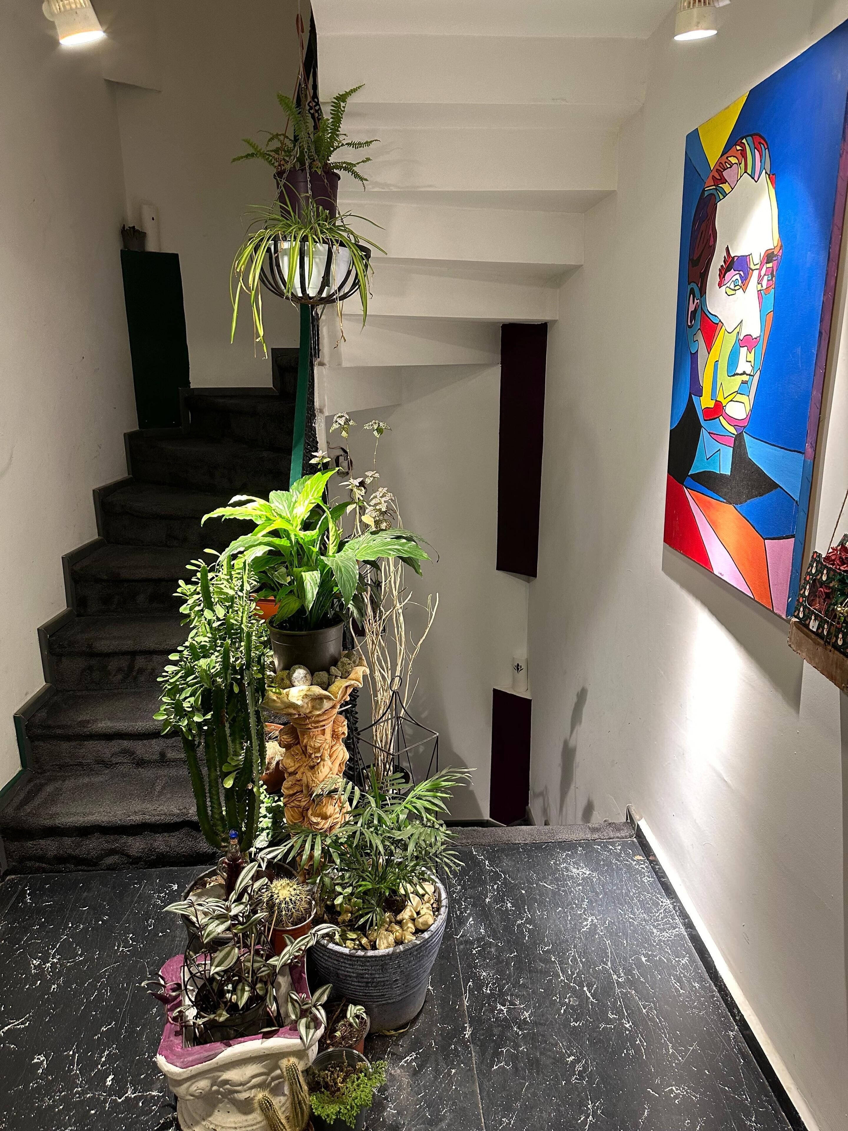 Een trap met diverse potplanten en een kleurrijk schilderij aan de muur.