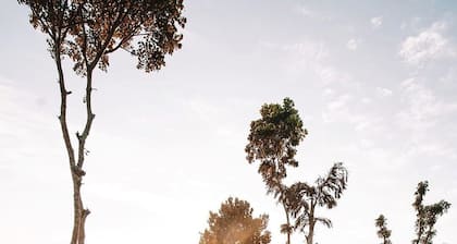 Aarunya Nature Resort & Spa