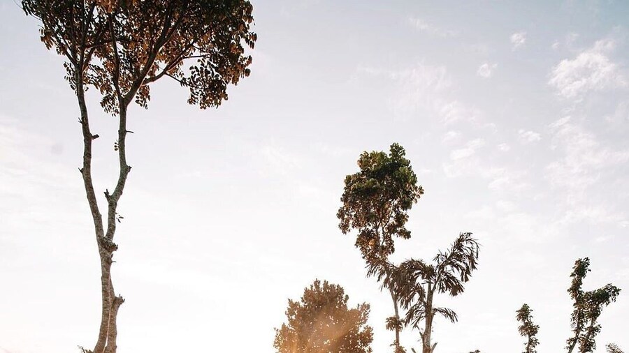 Aarunya Nature Resort & Spa