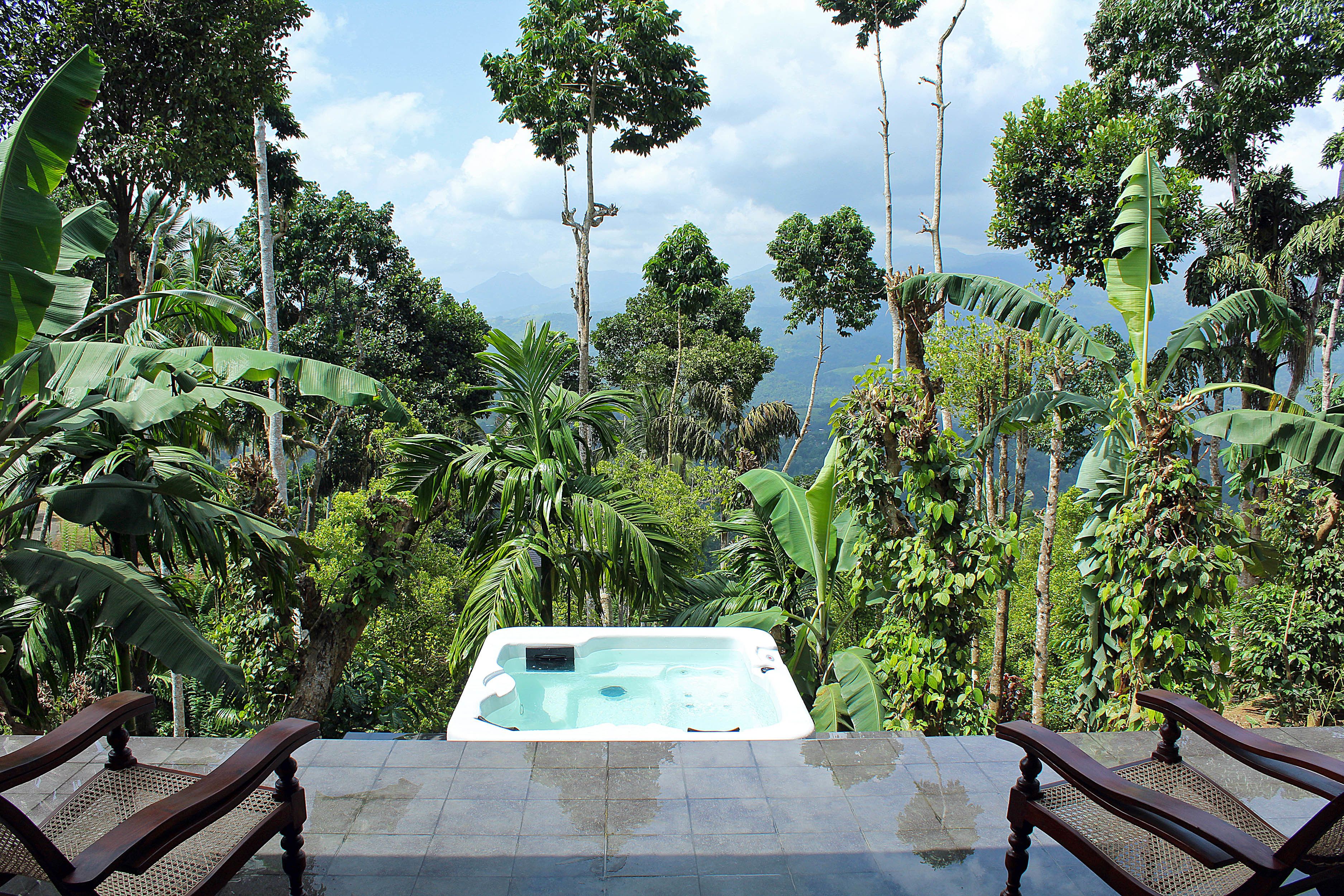 A hot tub surrounded by lush tropical vegetation and a clear sky.