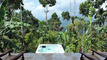 A hot tub surrounded by lush tropical vegetation and a clear sky.