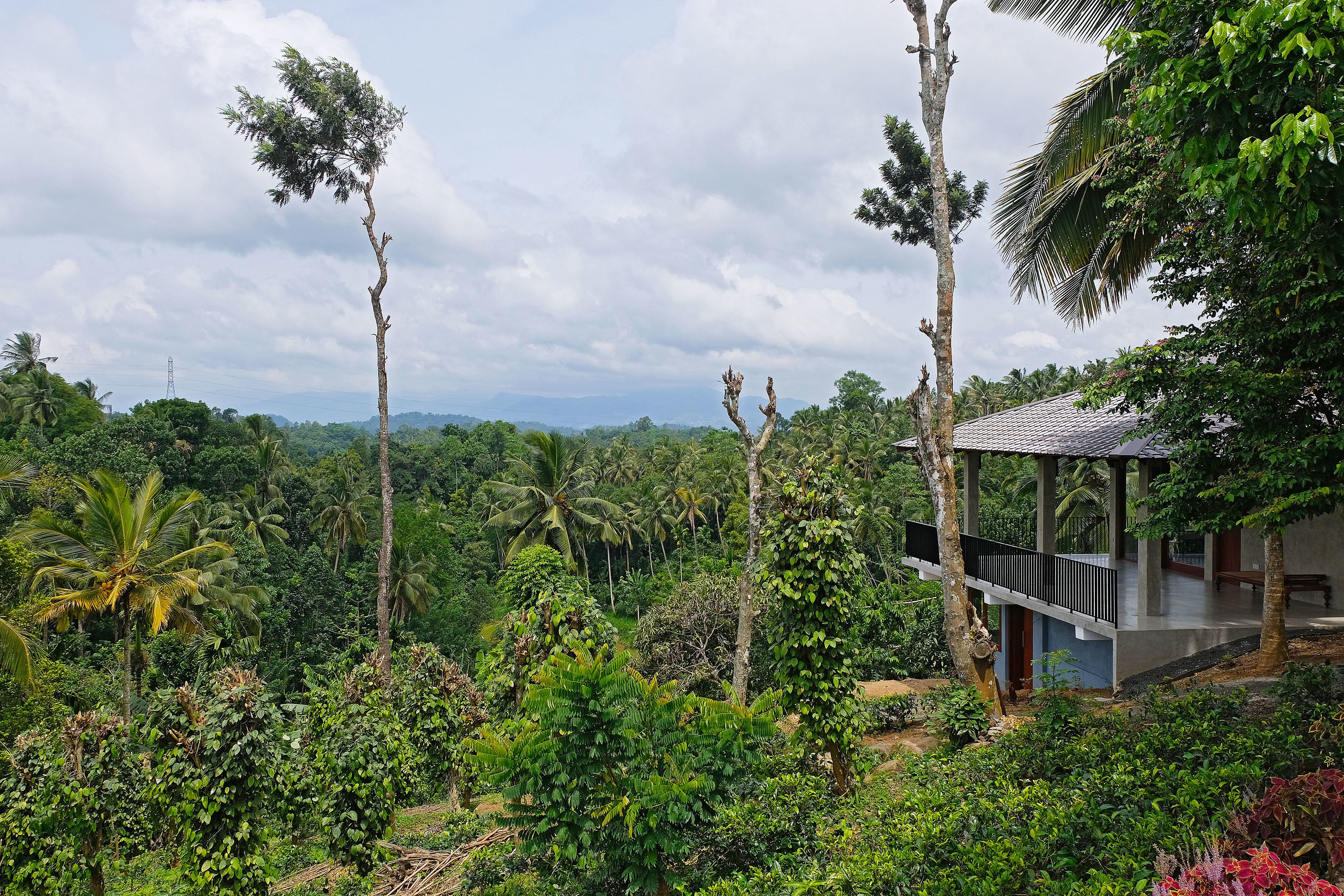Un exuberante paisaje tropical con una casa moderna y un balcón con vistas a la densa vegetación.