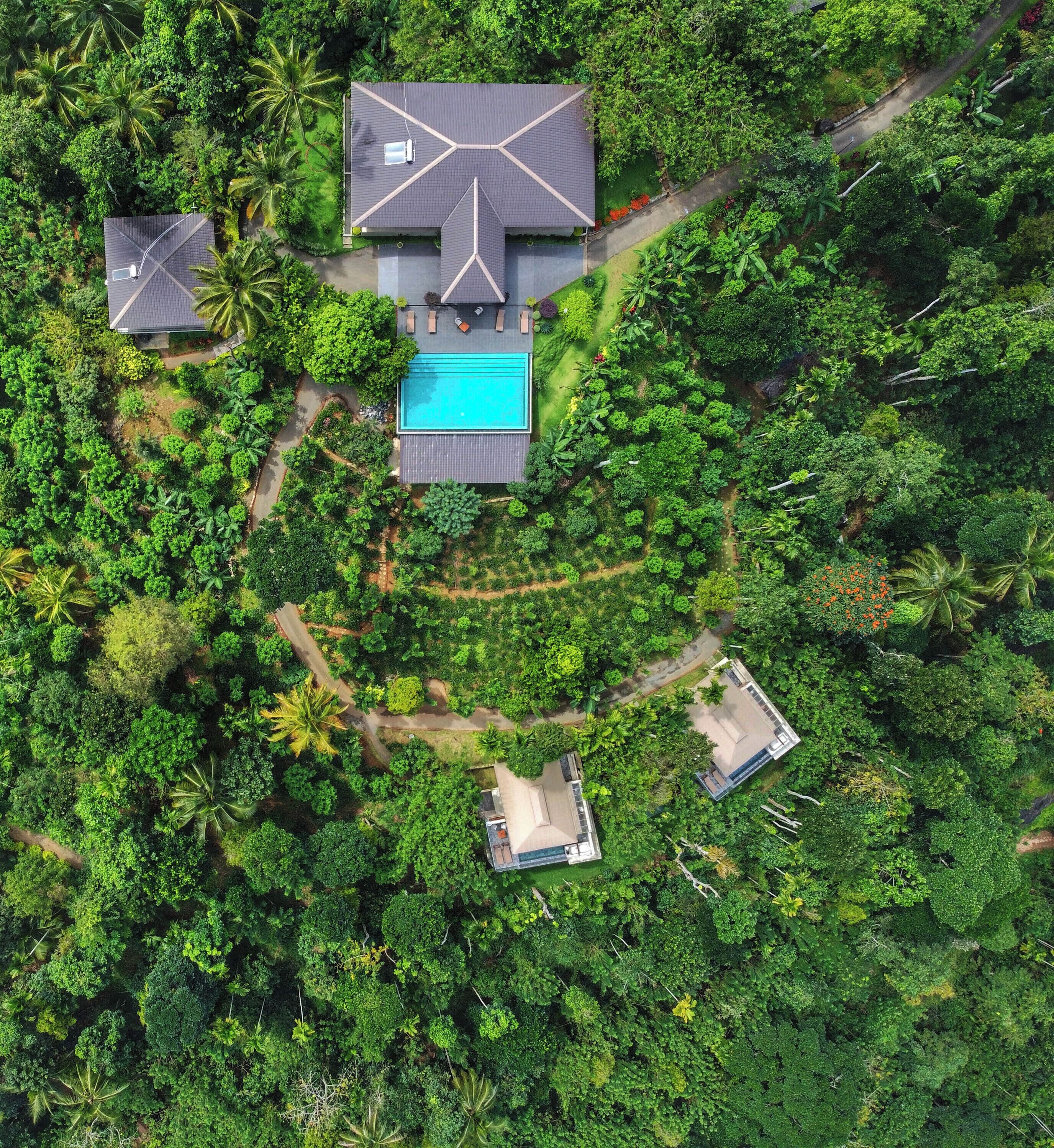 An aerial view of a property with a swimming pool, two separate buildings, and dense surrounding vegetation.