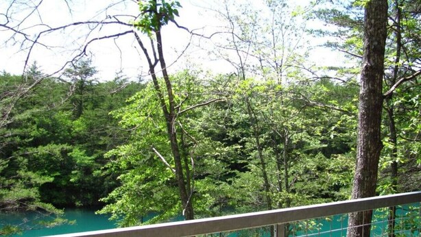 A forested area with a turquoise body of water, a metal railing, and trees.