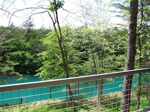 A forested area with a turquoise body of water, a metal railing, and trees.