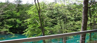 #721: Trout Hill Condo at Fall Creek Falls