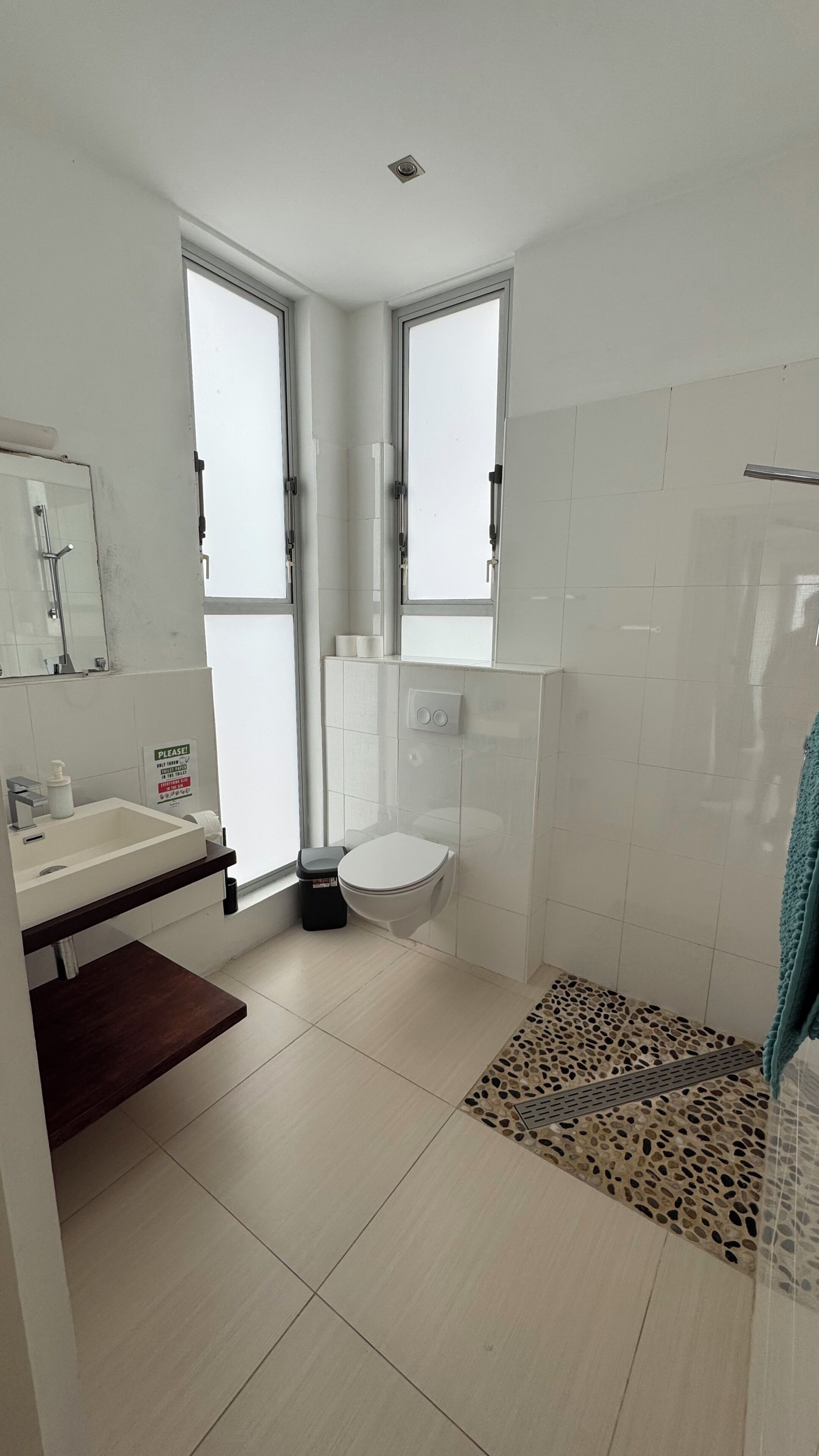 Un baño con inodoro, lavabo y zona de ducha.
