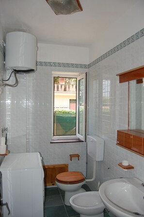 Chuveiro, secador de cabelo, bidê 