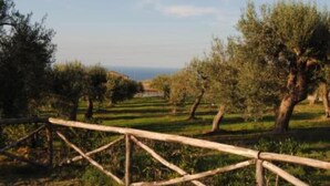 A vineyard with rows of trees and a wooden fence. - Country Cottage / Gite - Campofelice di roccella (Campofelice di Roccella)