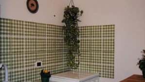 A kitchen with checkered backsplash, a sink, a stove, and a hanging plant. - Country Cottage / Gite - Campofelice di roccella (Campofelice di Roccella)