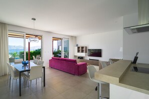 电视