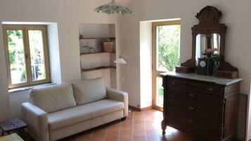 Televisión, chimenea, reproductor de DVD y libros