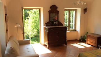 Televisión, chimenea, reproductor de DVD, libros