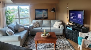 TV, DVD player, books, video library
