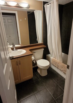 Combined shower/bathtub, hair dryer, towels, soap