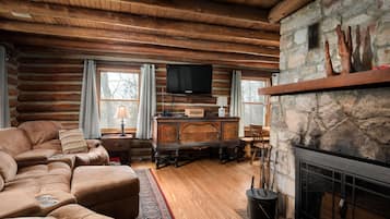 TV, fireplace, DVD player, books