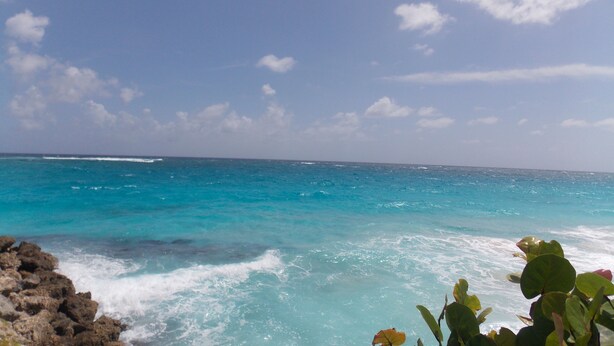 Een kustgezicht met heldere lucht en turquoise water.