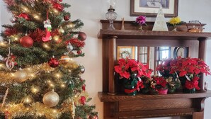 A decorated Christmas tree with ornaments and lights, a mantelpiece with vases and a clock, and a framed picture on the wall. - The Copper Penny House - Walking Distance To The Falls! (Niagara Falls)