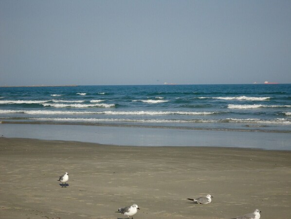 Beach nearby, beach towels