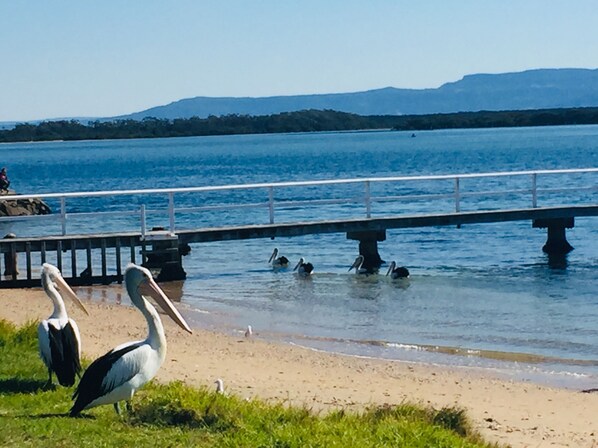 A beach with a bridge over water, birds near the shore, and distant mountains. - SeaEsta@Culburra- 3min walk to the Beach or Curleys Bay (Culburra Beach)