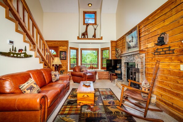 Televisión, chimenea, reproductor de DVD