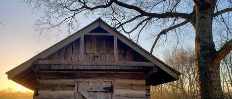 A rustic wooden cabin with a slanted roof and a large barn door, surrounded by a grassy field and a large tree.