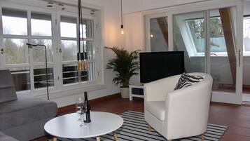 TV, DVD player, table tennis, books