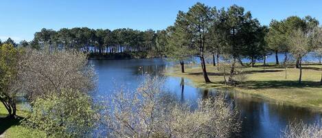 On peut admirer un lac, avec un sentier de gravier, des arbres et une rive éloignée.