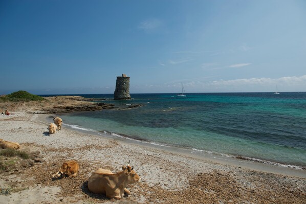 On the beach, beach towels