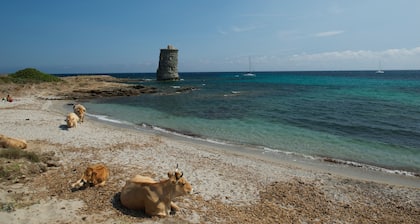 50 m vom Meer entfernt, Haus im Herzen des Dorfes, GeschÀfte, StrÀnde und Hafen