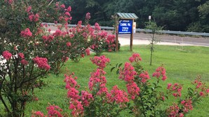 Bordje voor Lakeside Cabins RV Lodging, met een gazon en bloeiende roze bomen op de voorgrond.