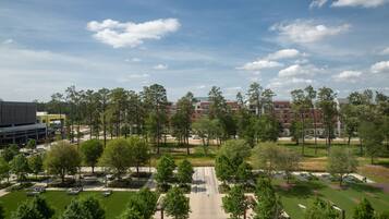 A campus with green lawns, trees, and buildings.