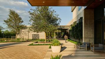 An outdoor area with a paved walkway, seating arrangements, and a large planter with plants.