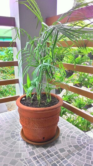 Balcony - Emperor's Suites (Silang)