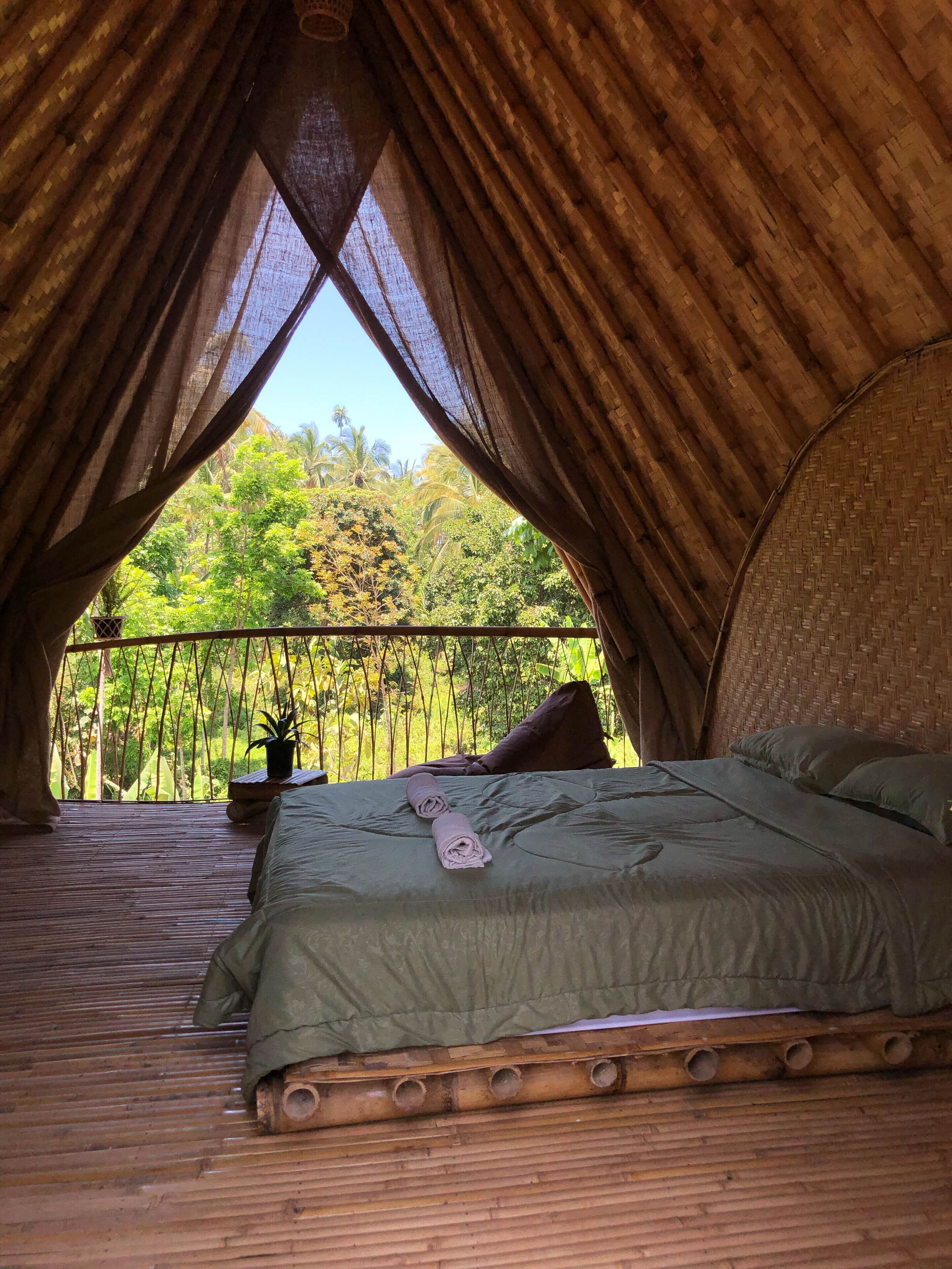 A room with a bed, a small table, and a potted plant.