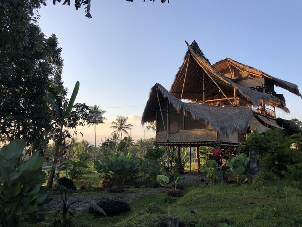 Front of property - Bamboo & B - Hostel (Banyuwangi)
