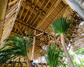 Interior - Bamboo & B - Hostel (Banyuwangi)