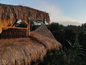 Exterior - Bamboo & B - Hostel (Banyuwangi)